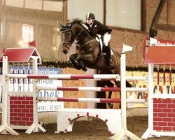 jumper Miss Copperfield (Hanoverian, 1998, from Perpignon)