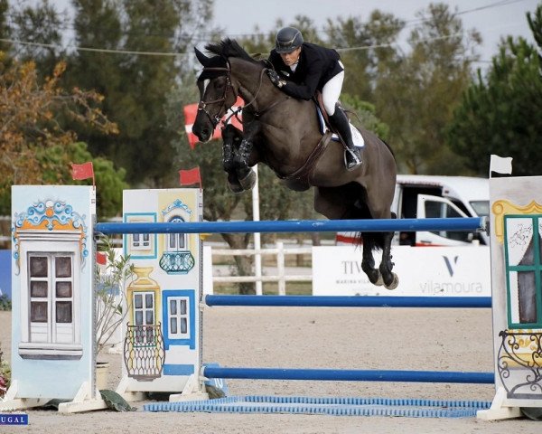 broodmare Imagine de Muze (Belgian Warmblood, 2008, from Nabab de Rêve)
