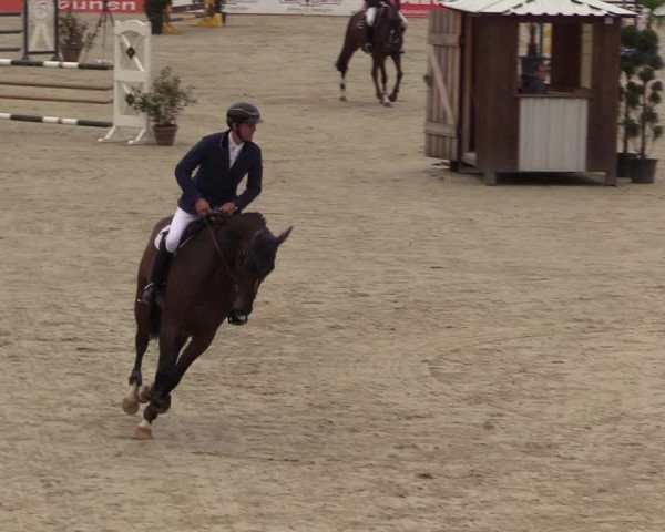 Reitturnier Westergellersen 2021