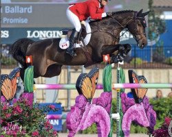 jumper Darkos Promise (Irish Sport Horse, 2008, from Unbekannt IR)