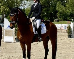 dressage horse Fernando W 3 (Westphalian, 2018, from Fürst Romancier)