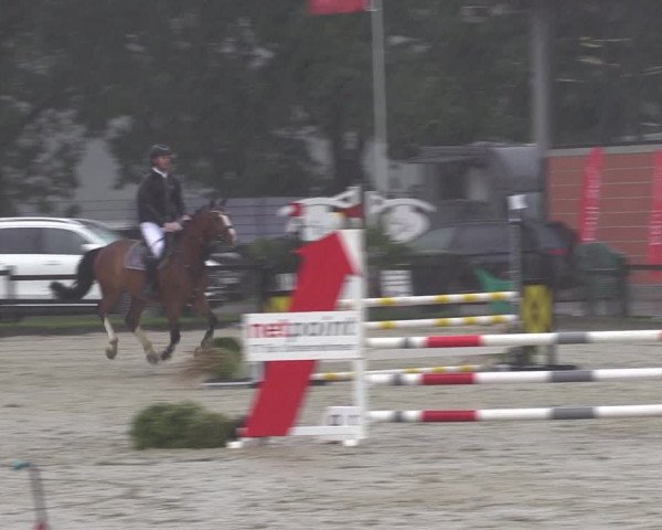 Reitturnier Nettetal-Lobberich 2023
