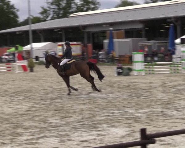 Reitturnier Nettetal-Lobberich 2023