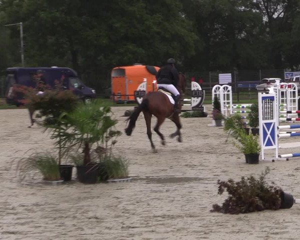 Reitturnier Nettetal-Lobberich 2023
