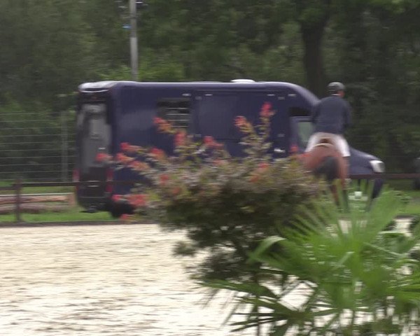Reitturnier Nettetal-Lobberich 2023
