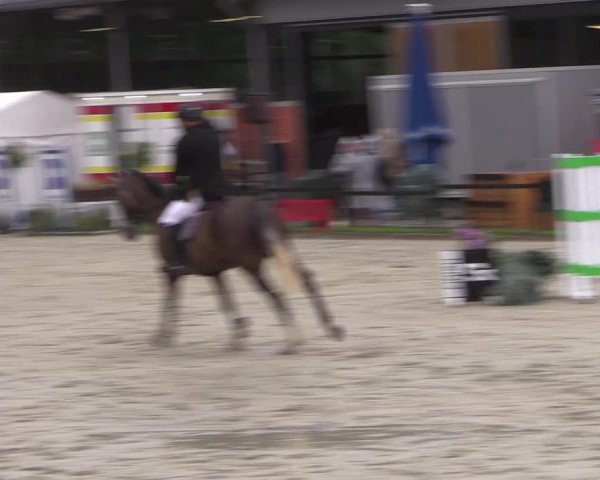 Reitturnier Nettetal-Lobberich 2023