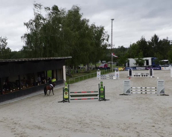 Reitturnier Groß-Zimmern 2023