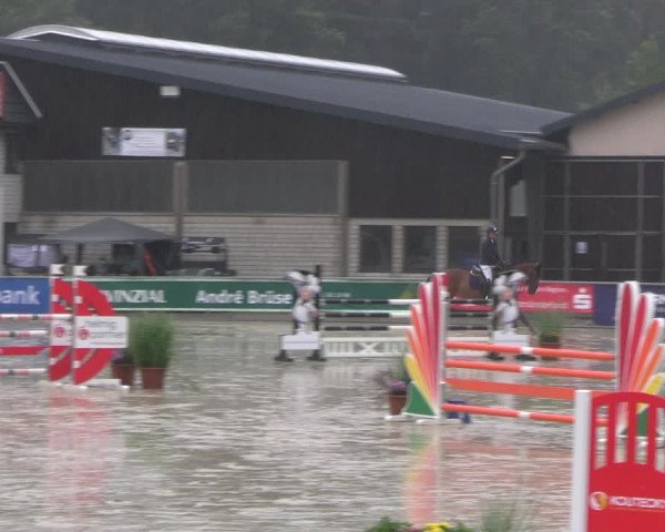 Reitturnier Olfen-Vinnum 2023