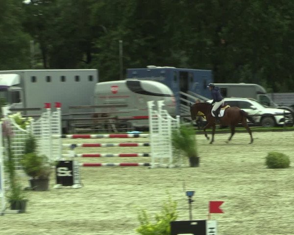 Reitturnier Nettetal-Lobberich 2023