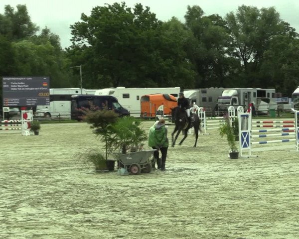 Reitturnier Nettetal-Lobberich 2023