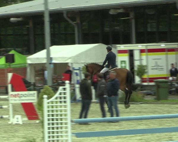 Reitturnier Nettetal-Lobberich 2023