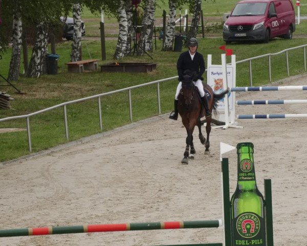 Reitturnier Groß-Zimmern 2023