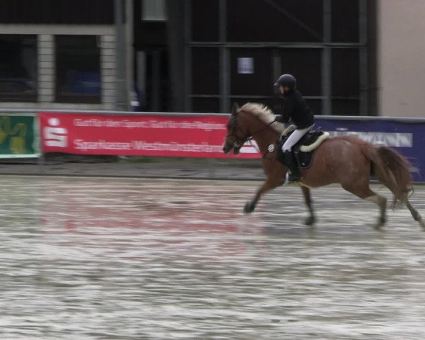 Reitturnier Olfen-Vinnum 2023