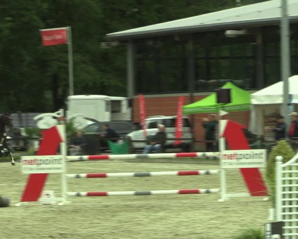 Reitturnier Nettetal-Lobberich 2023