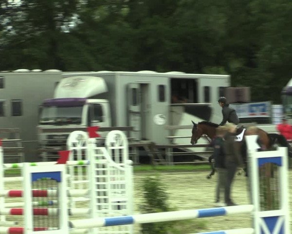 Reitturnier Nettetal-Lobberich 2023