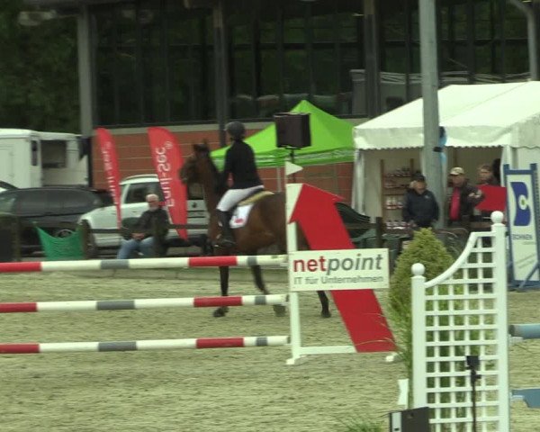 Reitturnier Nettetal-Lobberich 2023