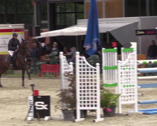 Reitturnier Nettetal-Lobberich 2023
