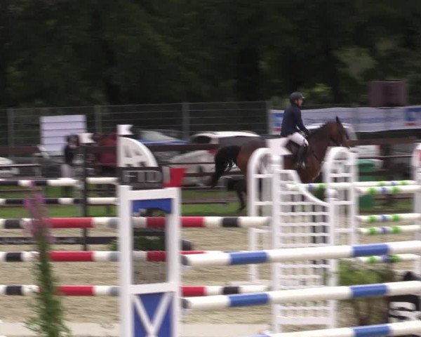 Reitturnier Nettetal-Lobberich 2023