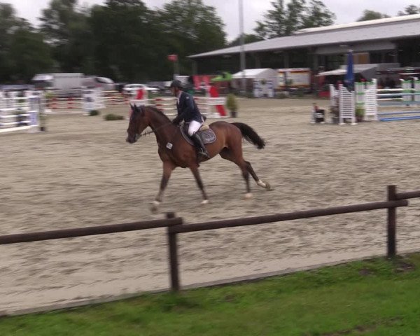 Reitturnier Nettetal-Lobberich 2023