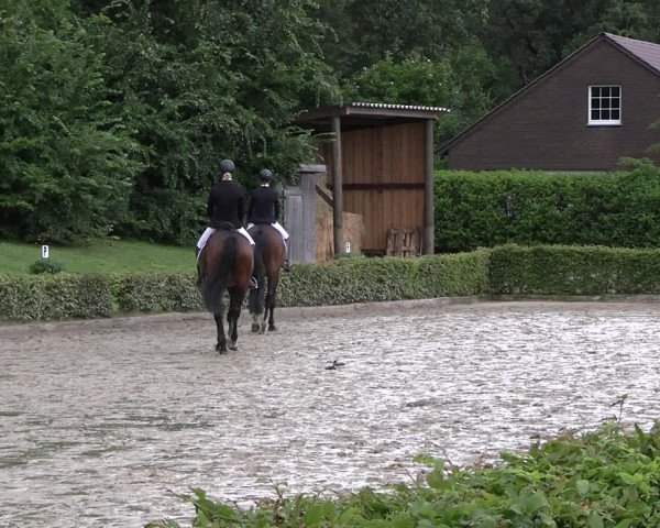 Reitturnier Olfen-Vinnum 2023