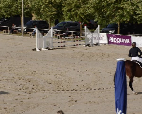 Reitturnier Groß-Zimmern 2023