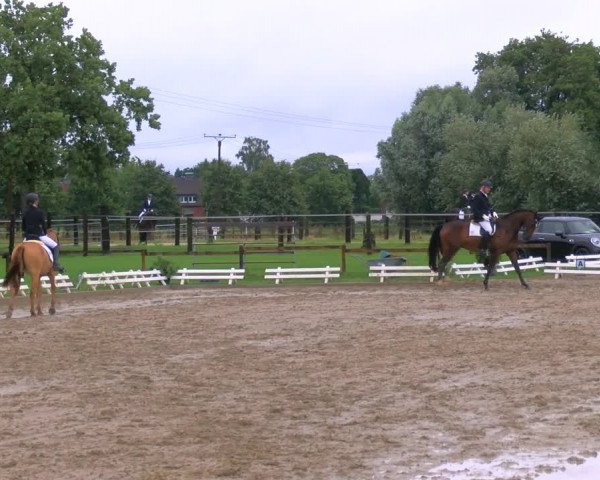 Reitturnier Nettetal-Lobberich 2023
