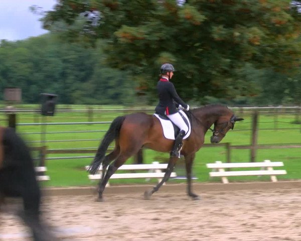 Reitturnier Nettetal-Lobberich 2023