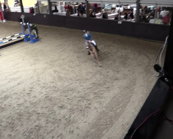 23. Legdener Ponymeeting 2021