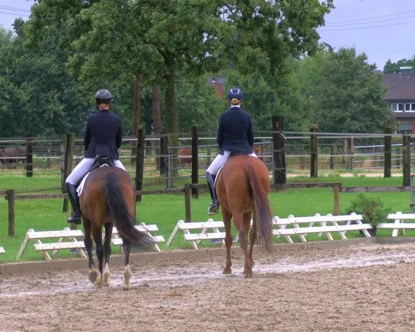 Reitturnier Nettetal-Lobberich 2023