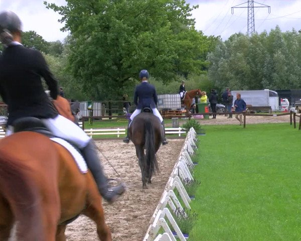 Reitturnier Nettetal-Lobberich 2023