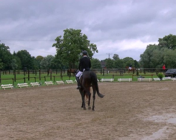 Reitturnier Nettetal-Lobberich 2023