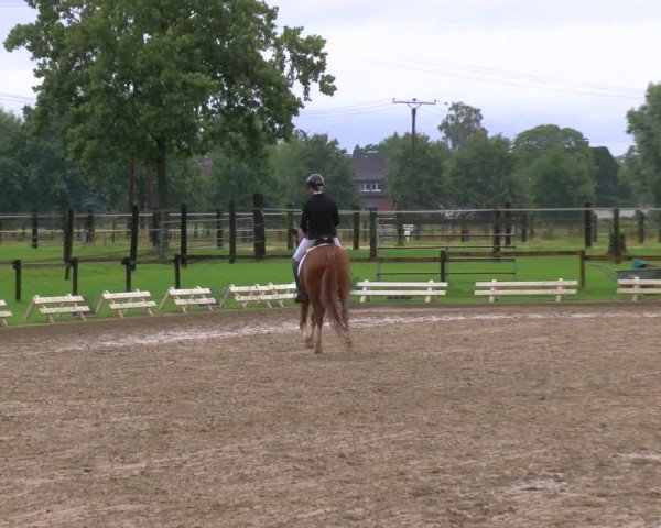 Reitturnier Nettetal-Lobberich 2023