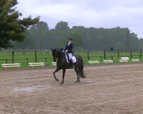Reitturnier Nettetal-Lobberich 2023