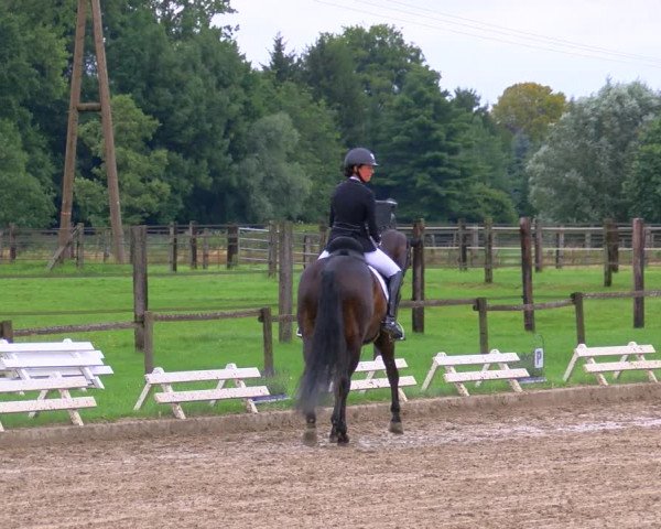 Reitturnier Nettetal-Lobberich 2023