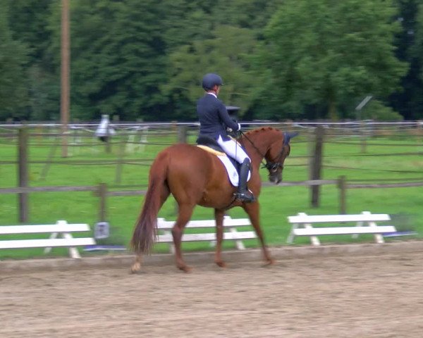 Reitturnier Nettetal-Lobberich 2023