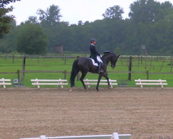 Reitturnier Nettetal-Lobberich 2023