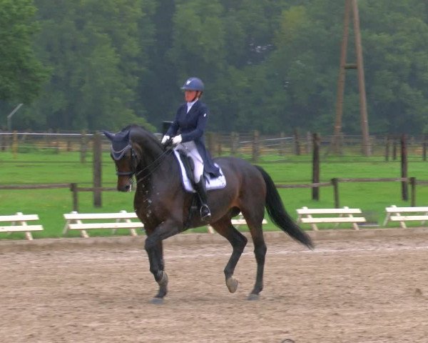 Reitturnier Nettetal-Lobberich 2023