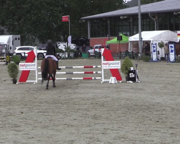 Reitturnier Nettetal-Lobberich 2023