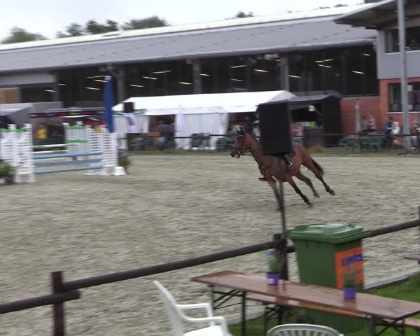 Reitturnier Nettetal-Lobberich 2023