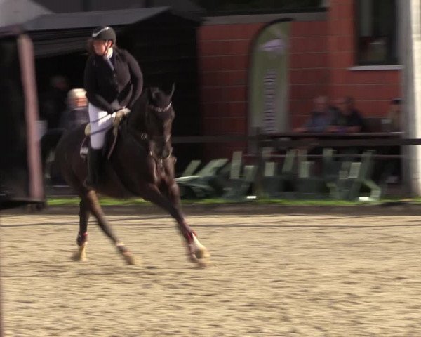 Reitturnier Nettetal-Lobberich 2023