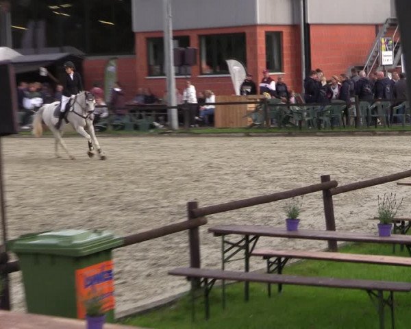 Reitturnier Nettetal-Lobberich 2023