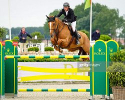 jumper Diamanthella Vg Z (Zangersheide riding horse, 2013, from Diamant de Semilly)