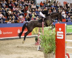 jumper Claire 132 (Hanoverian, 2009, from Conteur)