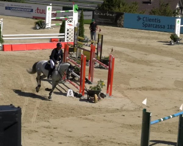 Reitturnier Wädenswil 2023