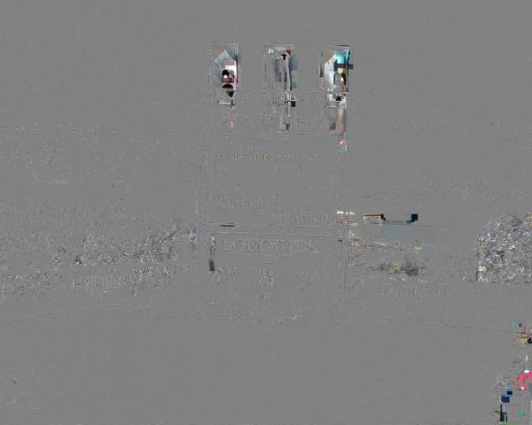 Reitturnier Wädenswil 2023