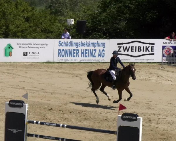 Reitturnier Wädenswil 2023