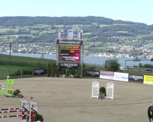 Reitturnier Wädenswil 2023