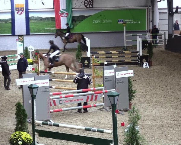 23. Legdener Ponymeeting 2021