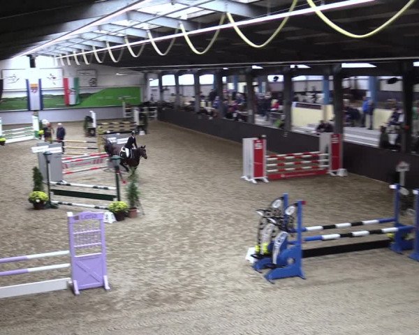 23. Legdener Ponymeeting 2021