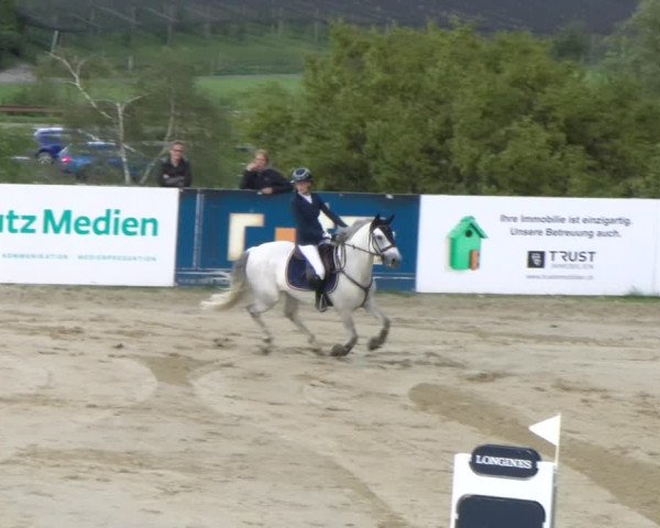 Reitturnier Wädenswil 2023